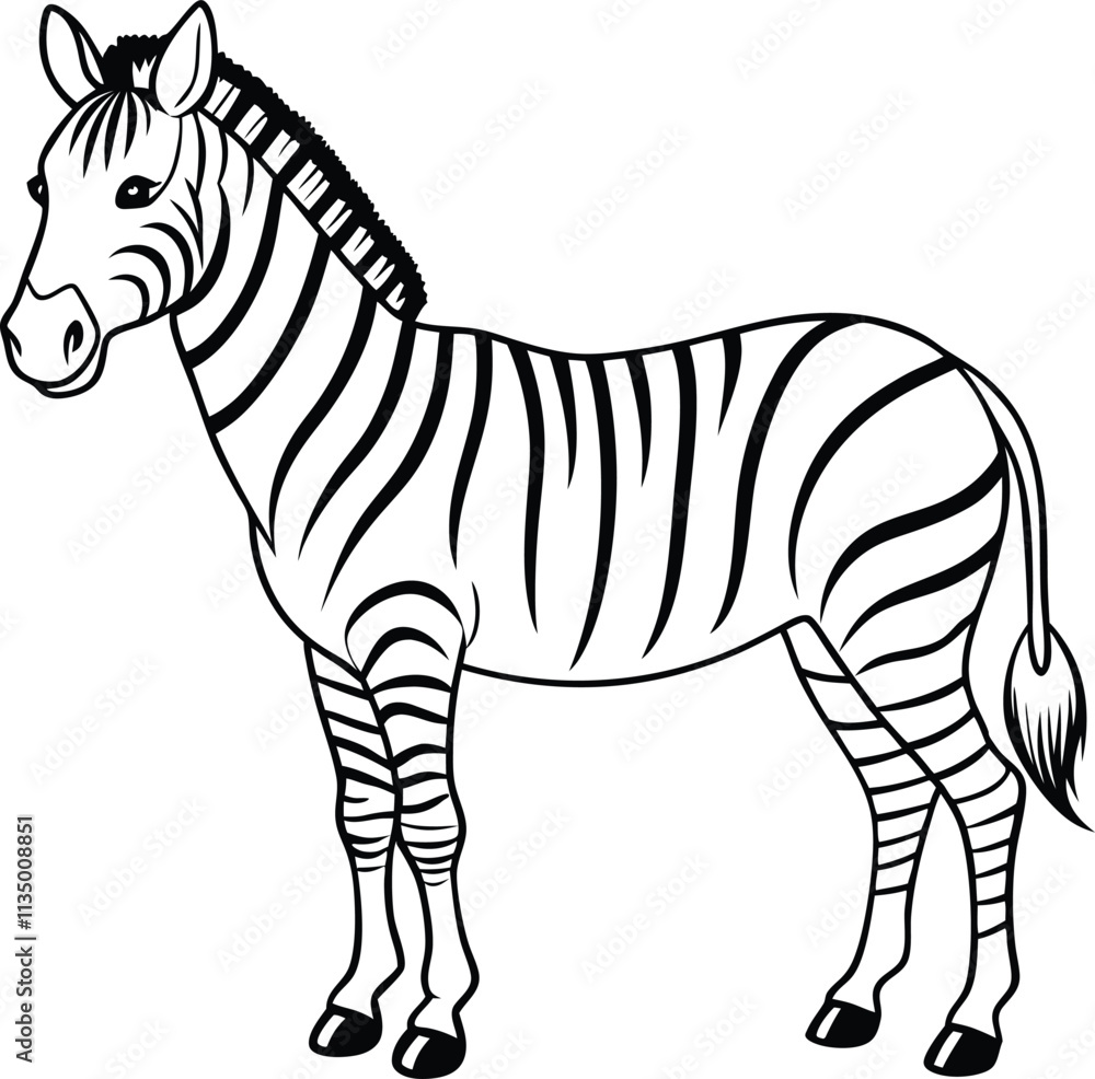 Fototapeta premium Striped Zebra Illustration African Equine Wildlife Drawing