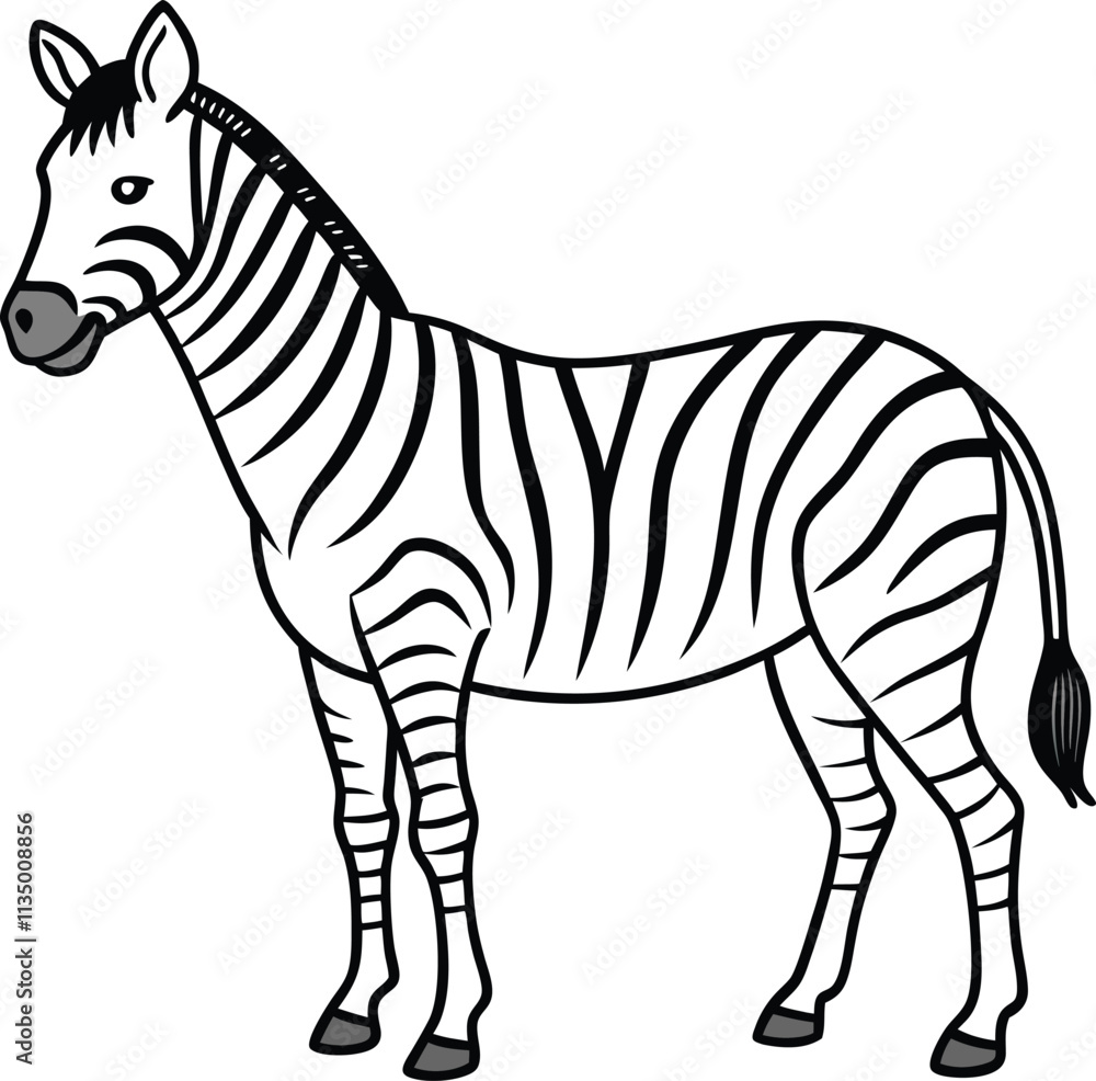 Fototapeta premium Striped Zebra, African Equine, Wildlife Animal, Black and White Drawing