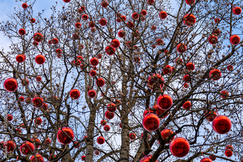 Red christmas balls on a large tree outdoors. At the christmas market of castle Hellbrunn, Salzburg, Austria, Europe.