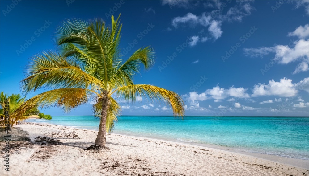 Obraz premium Palm Trees On The Beach - Palm Beach In Tropical Paradise - Guadalupe Island - Caribbean - Hawaii - Bali - Landscape Beach