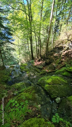 Cascade dans la forêt au-dessus de la grotte des Eaux-Chaudes et son gardien de pierre (Béarn)