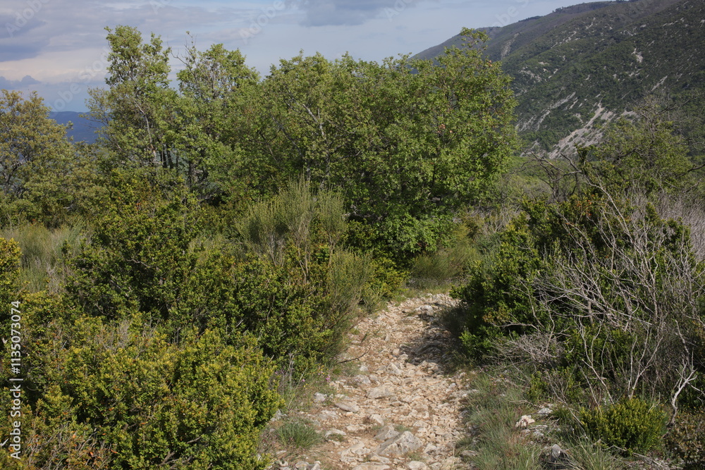 Path around Mourre Negre - Luberon - Vaucluse - Provence Alpes Cote d'Azur - France