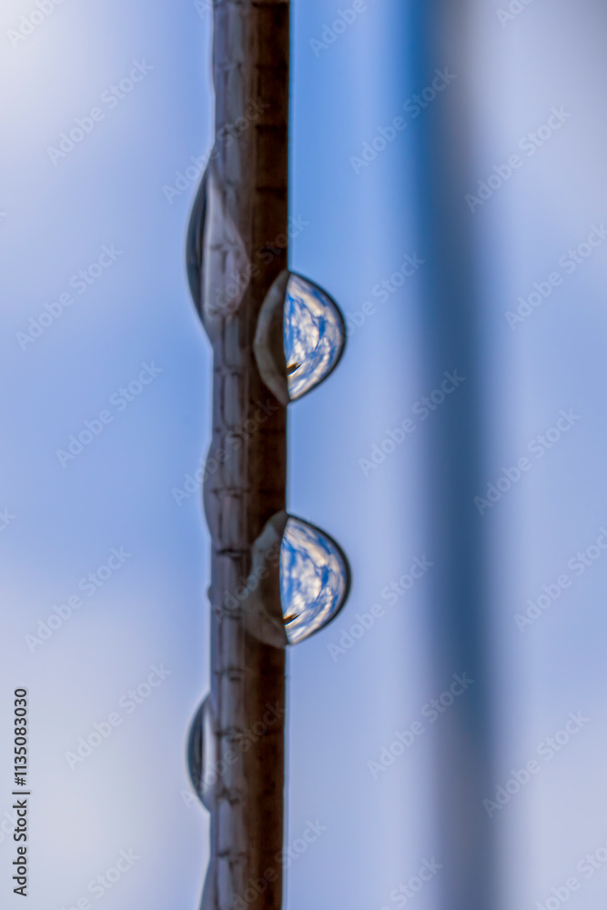 Fototapeta premium Morning Drew Drops on a Line