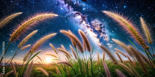 Wallpaper Mural Night Photography of Foxtail Weed in Nature: Capturing the Ethereal Beauty and Intricate Details of Grassy Weeds Under Moonlight with Starry Skies and Soft Glowing Effects Torontodigital.ca