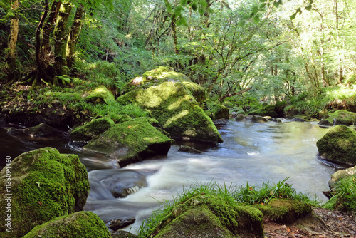 Golitha Falls, on the River Fowey, weaving its way through the ancient oak woodland of Draynes Wood, Liskeard, Cornwall, UK photo