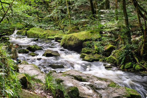 Golitha Falls, on the River Fowey, weaving its way through the ancient oak woodland of Draynes Wood, Liskeard, Cornwall, UK