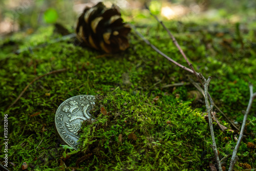 A silver collectible coin in the forest with a bump in the background.Treasure hunting in the forest. photo