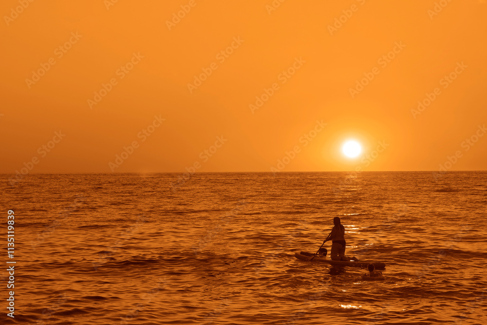 Fototapeta premium silhouettes of one woman on surfboards on the water at sunrise, horizon line. SUP surfing at sunset