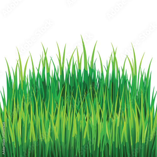 Vibrant Green Grass Texture Seamless Background