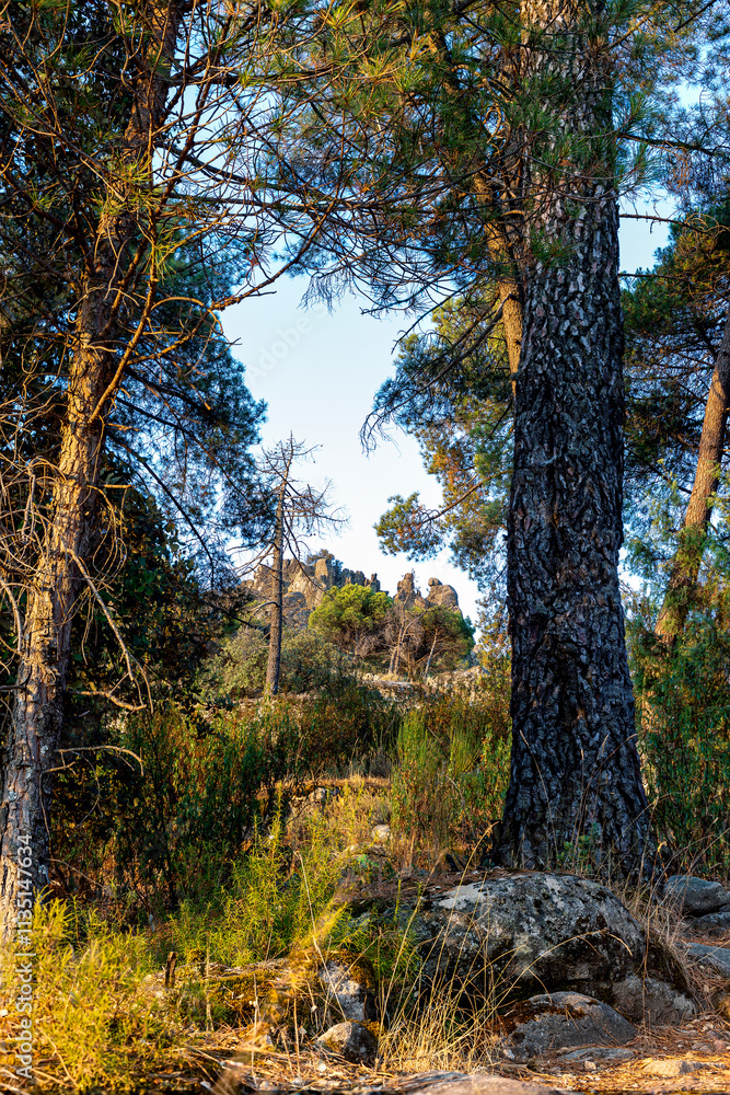 Peña Muñana ras los pinos Peña Muñana ras los pinos