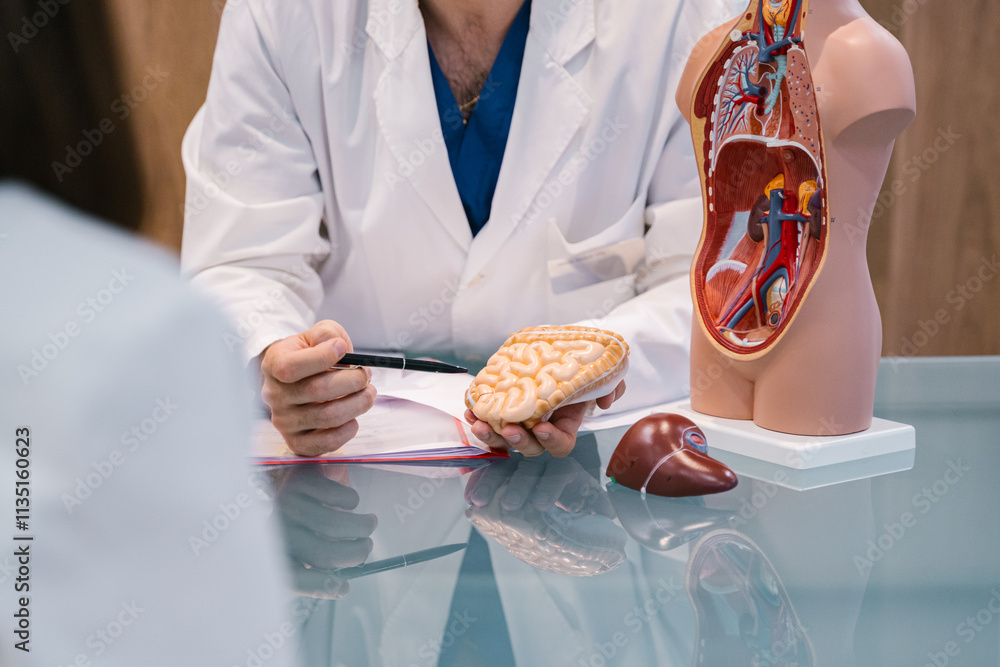 Using detailed anatomical models for better communication in medical consultations