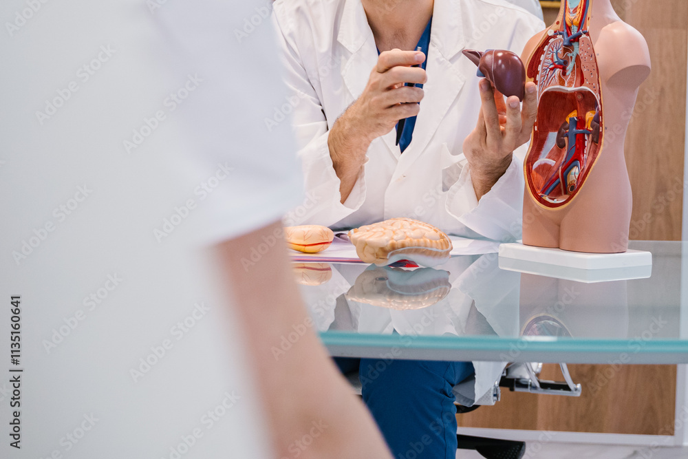 Using detailed anatomical models for better communication in medical consultations