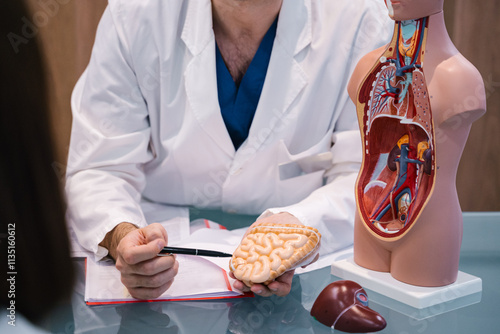 Using detailed anatomical models for better communication in medical consultations