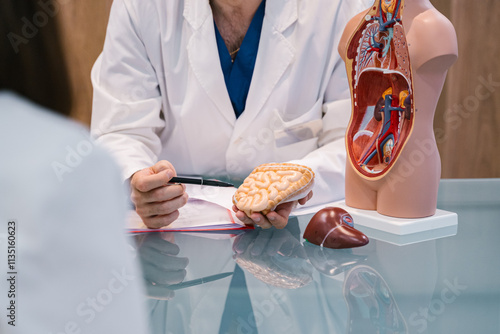 Obraz na płótnie Using detailed anatomical models for better communication in medical consultations w salonie