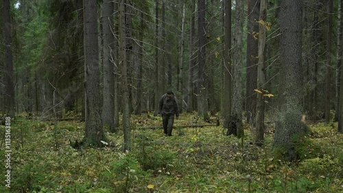 Traveler with his dog goes through the forest. Forester and his dog in a coniferous forest. Tourist with a dog in an autumn coniferous forest. Concept of trips to the forest.