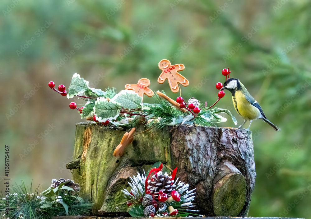 custom made wallpaper toronto digitalSmall woodland birds in a Christmas festive scene with decorations