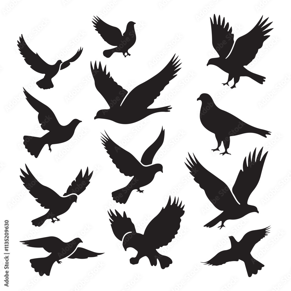 Fototapeta premium brid silhouette Pigeons Flying Silhouettes 6 Raven Silhouette 