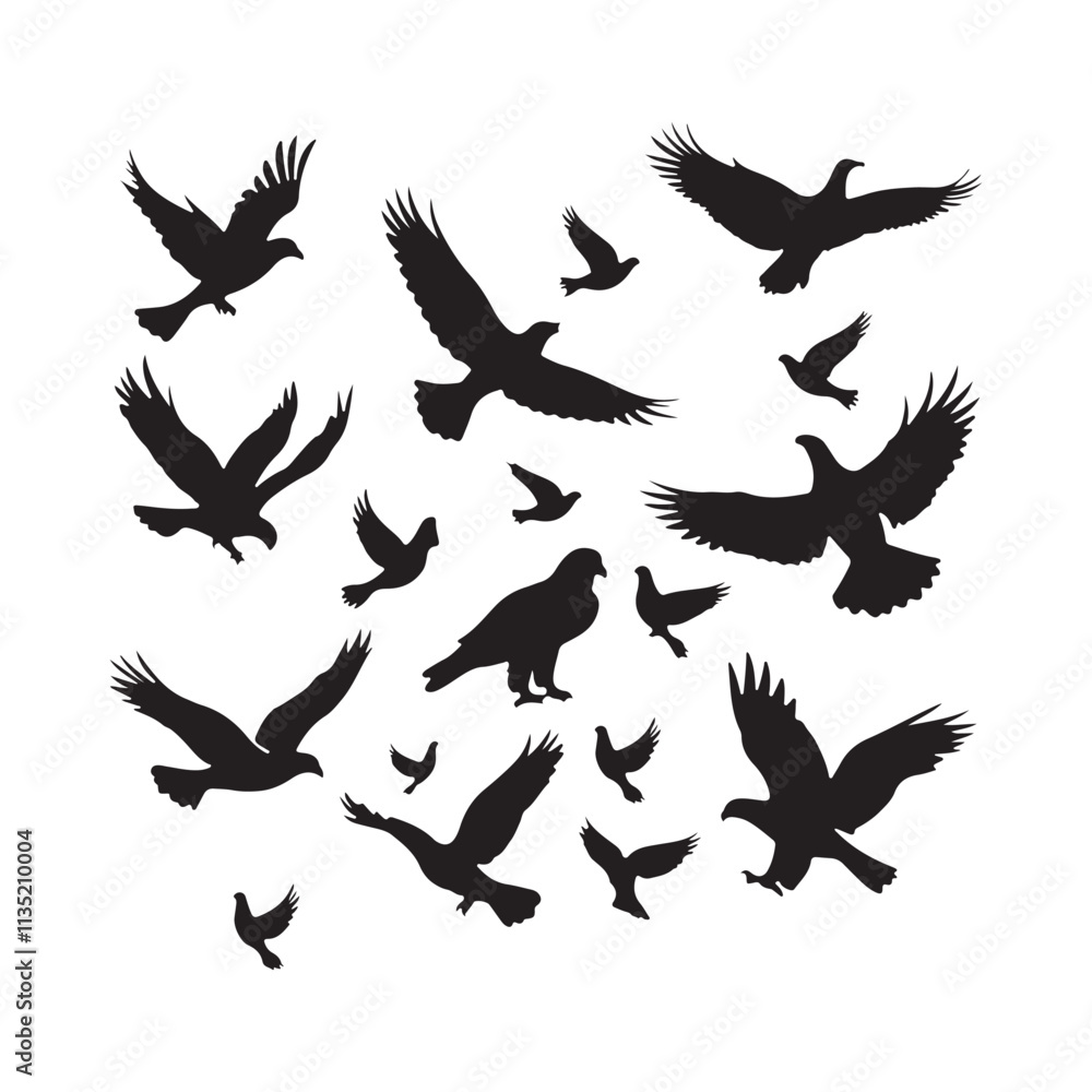 Obraz premium brid silhouette Pigeons Flying Silhouettes 6 Raven Silhouette 