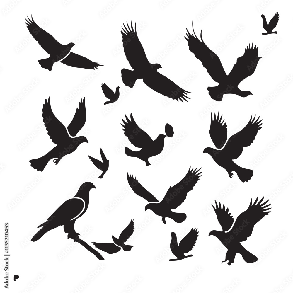 Fototapeta premium brid silhouette Pigeons Flying Silhouettes 6 Raven Silhouette 