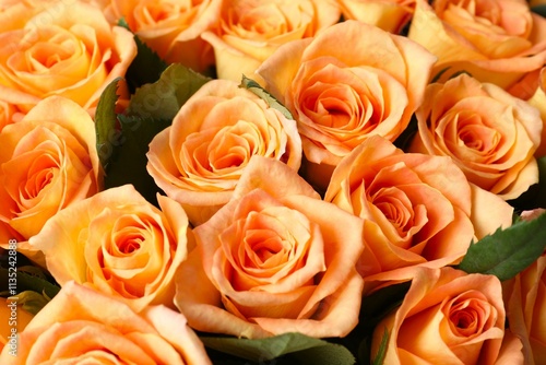 Beautiful bouquet of fresh roses background 