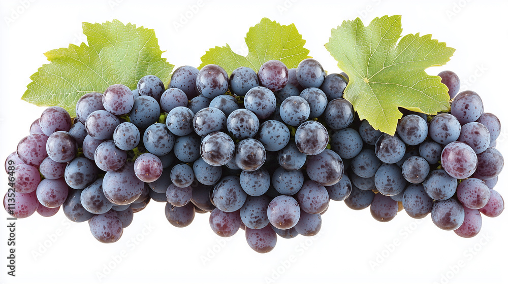 Fototapeta premium A cluster of grapes in vibrant purple or green.