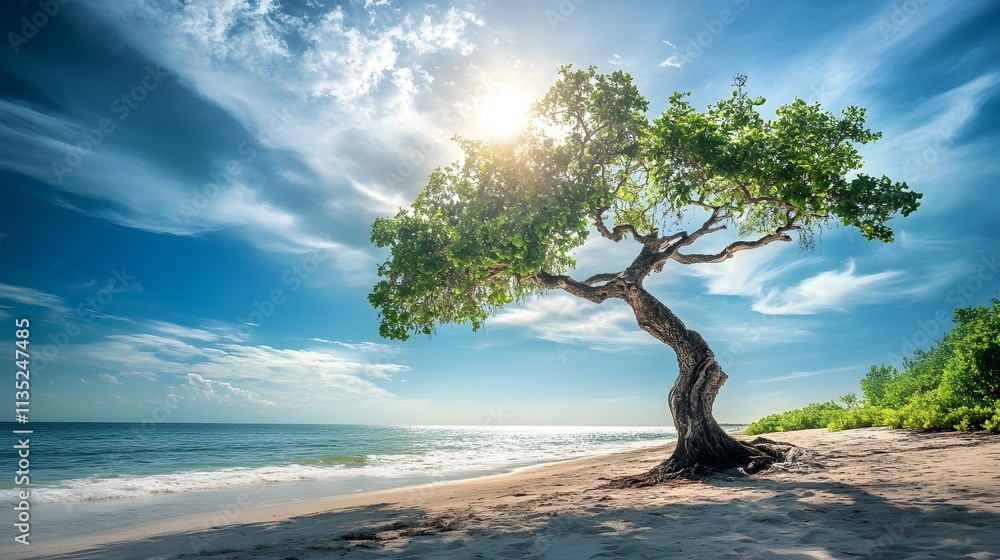 Tranquil beach at sunset with a solitary tree and vibrant clouds above