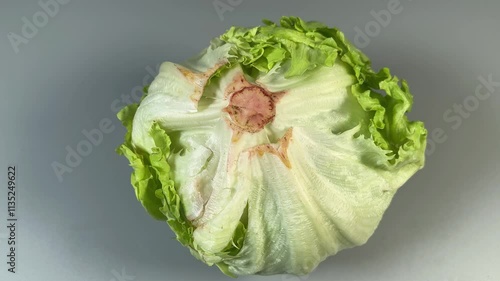 Head of fresh iceberg lettuce on a gray background photo