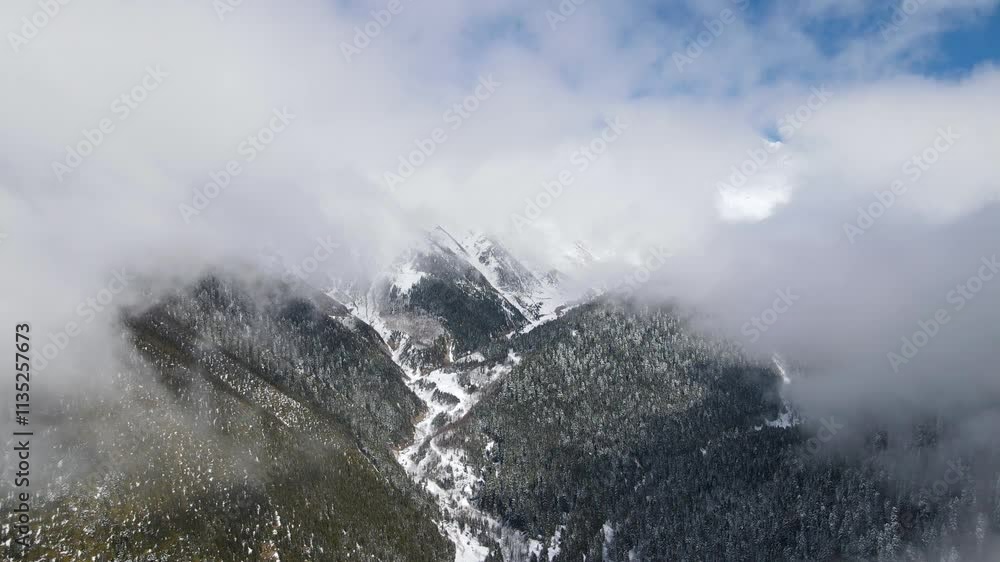 Snow covered mountains, forests and trees. Pine, cedar, hornbeam forests. A nature view from the untouched mountains and forests. Snow covered mountains, forests and trees. Pine, cedar, hornbeam forests. A nature view from the untouched mountains and forests.