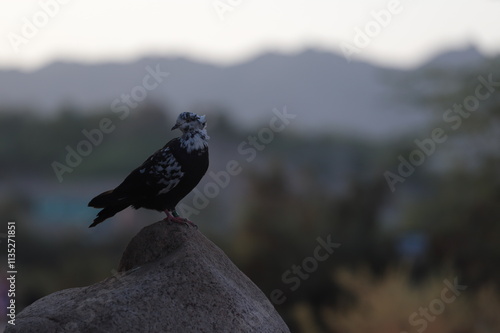 bird on a tree