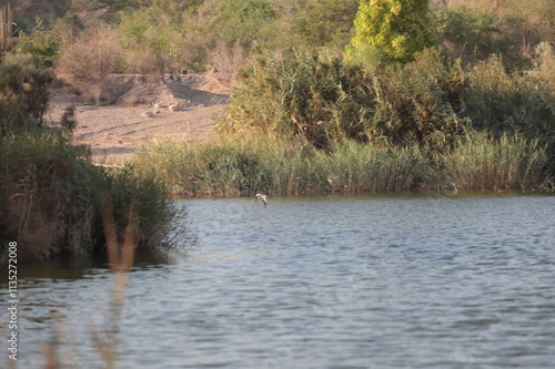 river in the wild