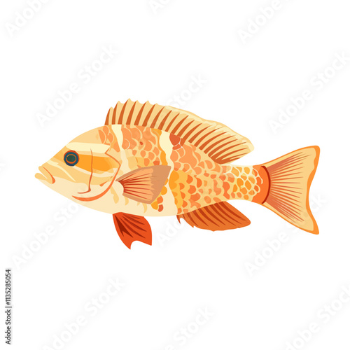 Flat vector tilapia, isolated on a white background.