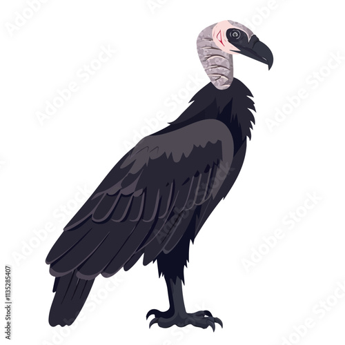 Flat vector vulture, isolated on a white background.