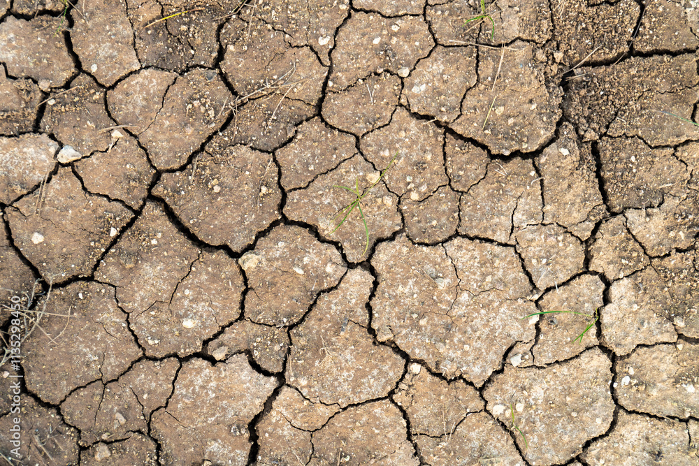 Background of cracked earth due to drought Background of cracked earth due to drought
