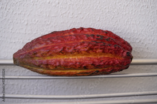 The cocoa bean, also known simply as cocoa or cacao, is the dried and fully fermented seed of Theobroma cacao. Fortaleza - Ceara, Brazil. photo