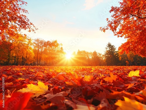 Autumnal Sunset Glow Over a Carpet of Red and Gold Leaves photo