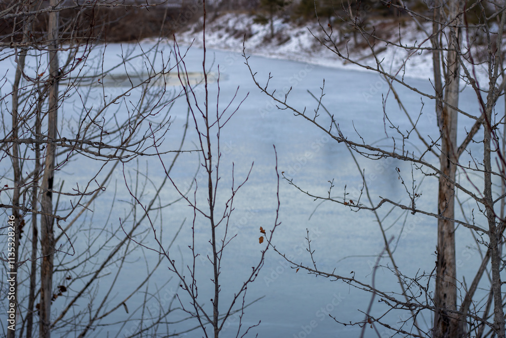 Obraz premium A frozen lake in winter