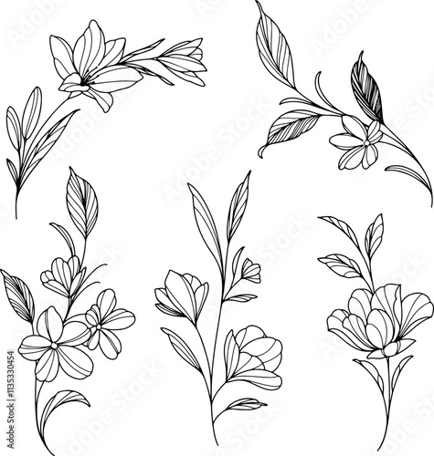 Botanical drawing. Minimal plant logo, meadow greenery, leaf and blooming flower abstract sketch element collection, linear rustic branch. Vector hand drawn wedding invitation bouquet decoration set