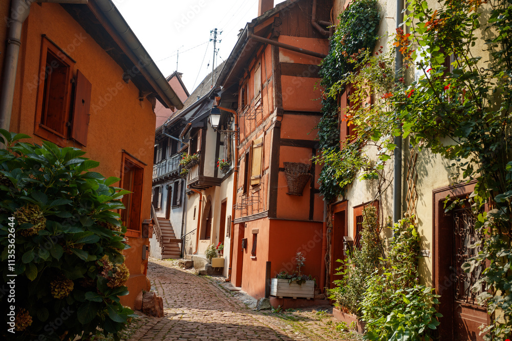 Naklejka premium Picturesque town street with colorful, blooming facades, France