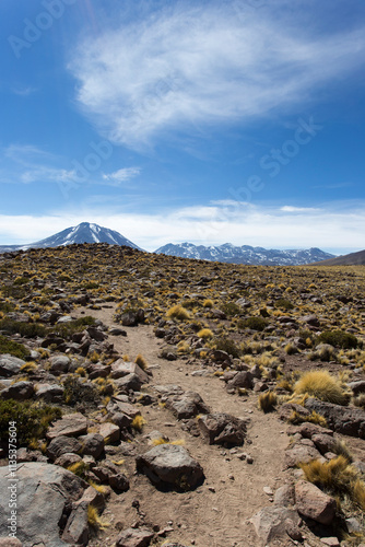 Photo of Andean landscape in Miscanti national park photo