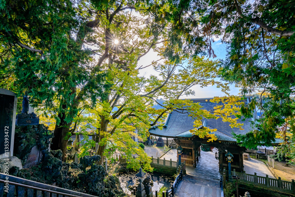 秋の成田山新勝寺 仁王門 千葉県成田市 Naritasan Shinshoji Temple in autumn. Niomon. Chiba Pref, Narita City. 秋の成田山新勝寺 仁王門 千葉県成田市 Naritasan Shinshoji Temple in autumn. Niomon. Chiba Pref, Narita City.