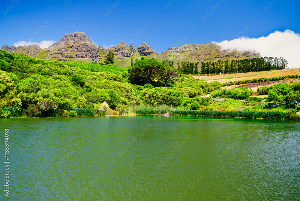Scenic lake with lush vegetation and Helderberg Mountain in the background, Somerset West, South Africa
