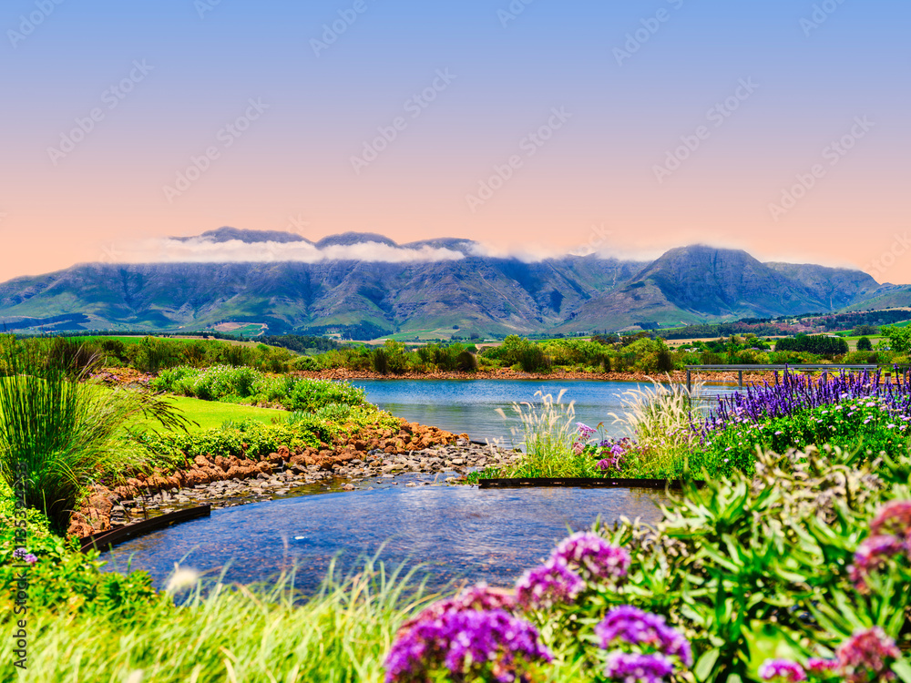 Helderberg Mountain in the background of a clear water pool and dam surrounded by flowers, Somerset West, South Africa