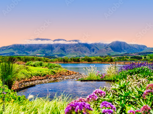Obraz na płótnie Helderberg Mountain in the background of a clear water pool and dam surrounded by flowers, Somerset West, South Africa w salonie