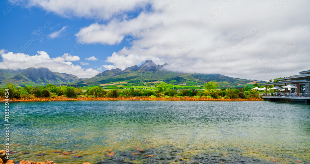 Vineyards on the slopes of Helderberg Mountain and a dam, with a blue sky and white clouds, Somerset West, South Africa