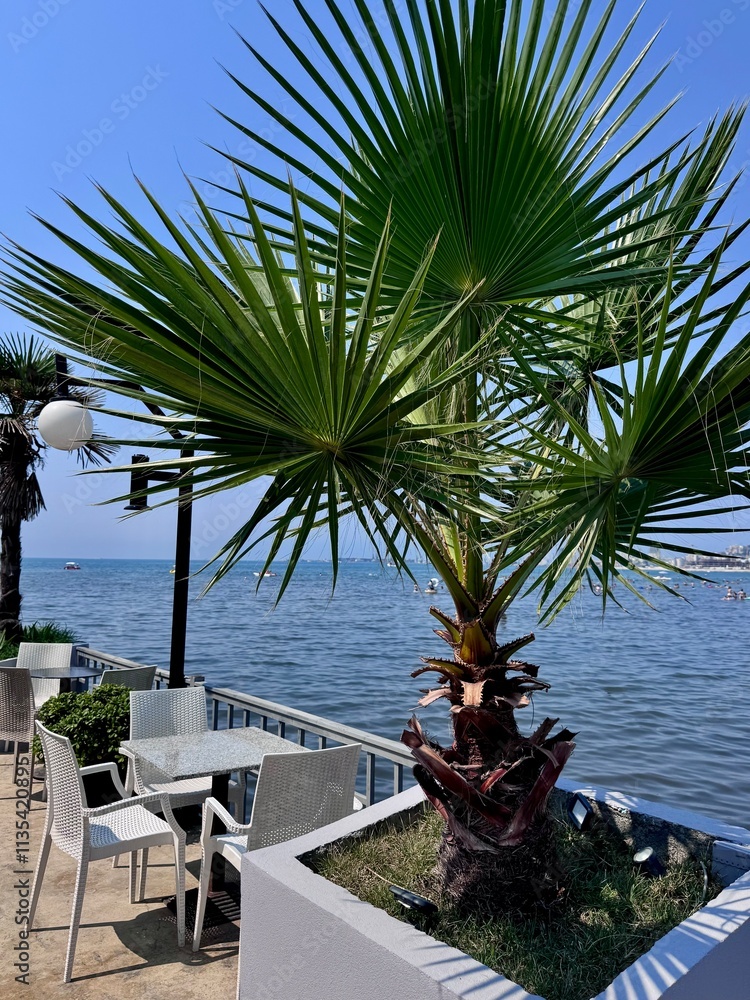 Fototapeta premium view of a seaside terrace with a table and chairs as well as a palm tree and the Adriatic Sea in the background on a sunny summer day 
