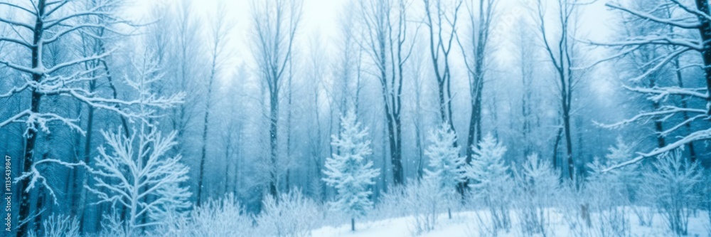 Snow-covered trees and sparkling frost create a magical atmosphere in a serene winter forest, cold, tranquil Snow-covered trees and sparkling frost create a magical atmosphere in a serene winter forest, cold, tranquil