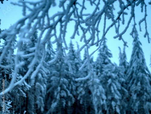 Winter in the Taunus Mountains Germany photo