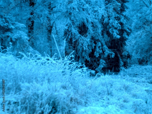 Winter in the Taunus Mountains Germany photo