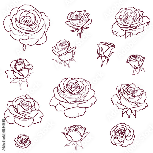 set of hand drawn roses