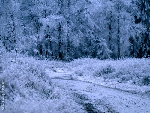 Winter in the Taunus Mountains Germany photo